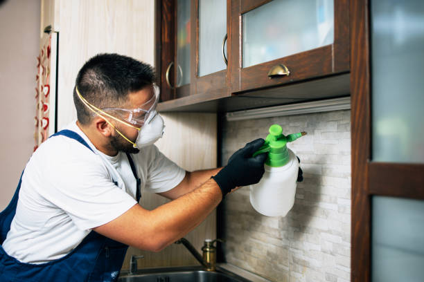 Best Pest Control Near Me  in Sheridan, IL