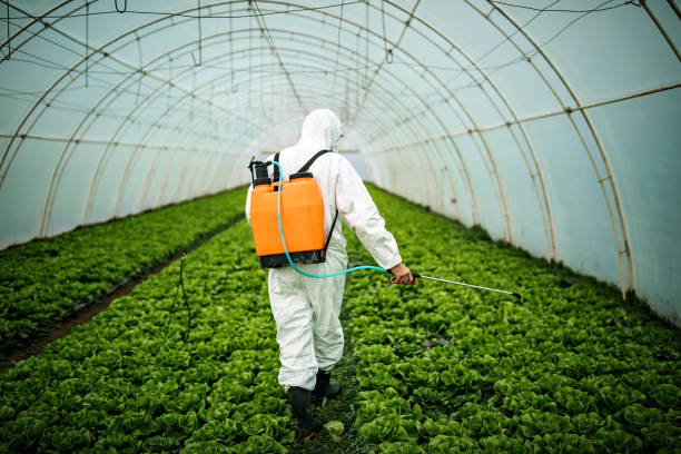 Best Mosquito Control Services  in Sheridan, IL