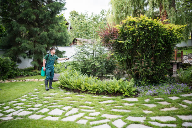 Best Affordable Pest Control Services  in Sheridan, IL