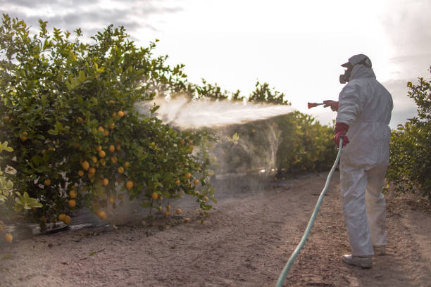 Best Flea Control Services  in Sheridan, IL