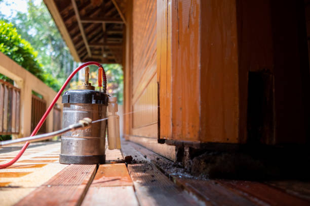 Best Ant Control Services  in Sheridan, IL