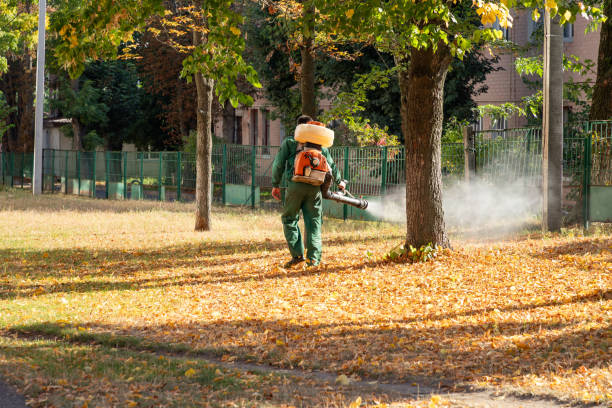 Best Rat Extermination Near Me  in Sheridan, IL