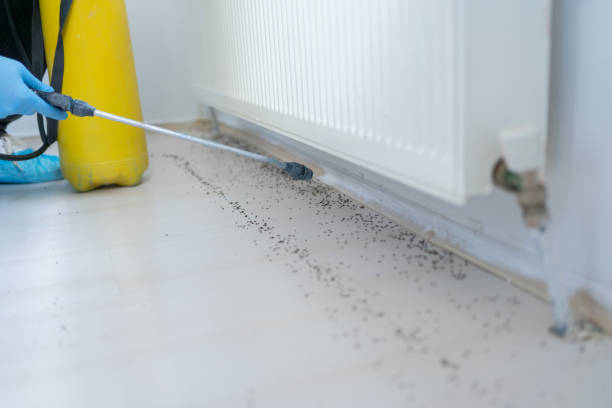 Best Pest Prevention Services  in Sheridan, IL